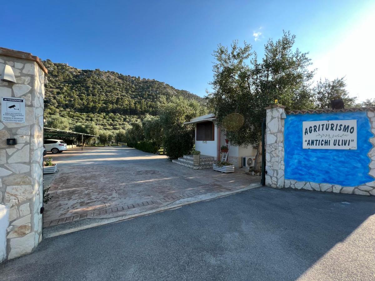 Agriturismo Antichi Ulivi Mattinata Bagian luar foto