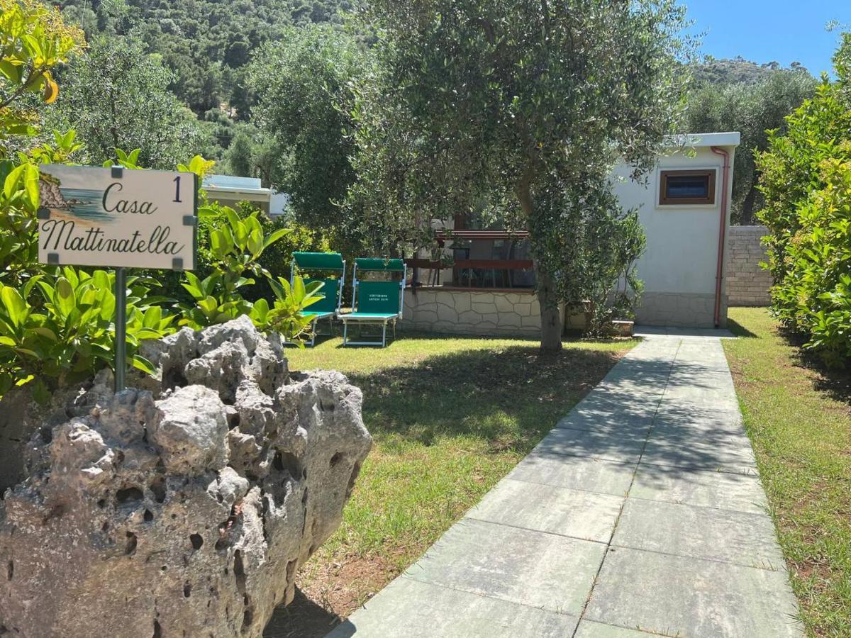Agriturismo Antichi Ulivi Mattinata Bagian luar foto