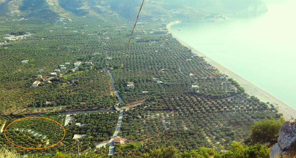 Agriturismo Antichi Ulivi Mattinata Bagian luar foto