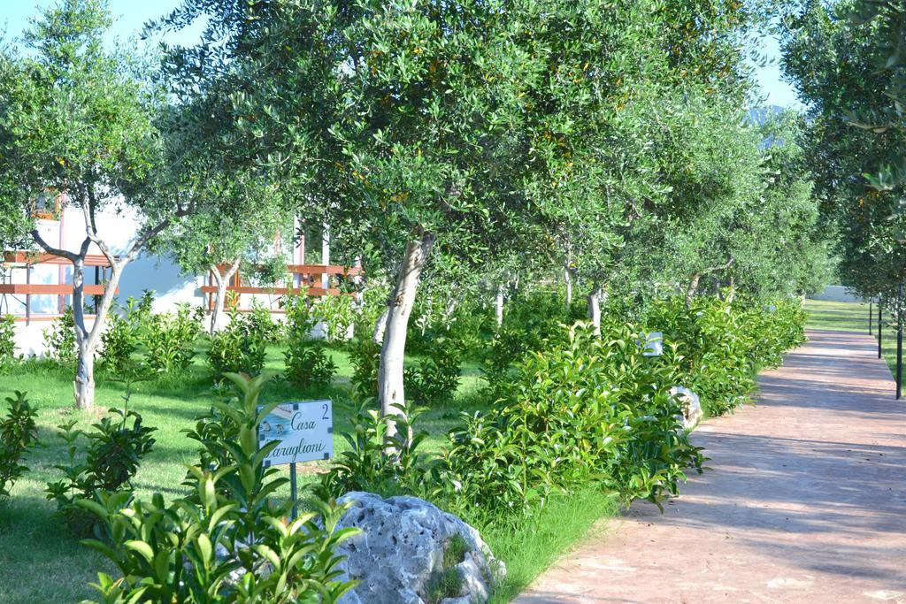 Agriturismo Antichi Ulivi Mattinata Bagian luar foto