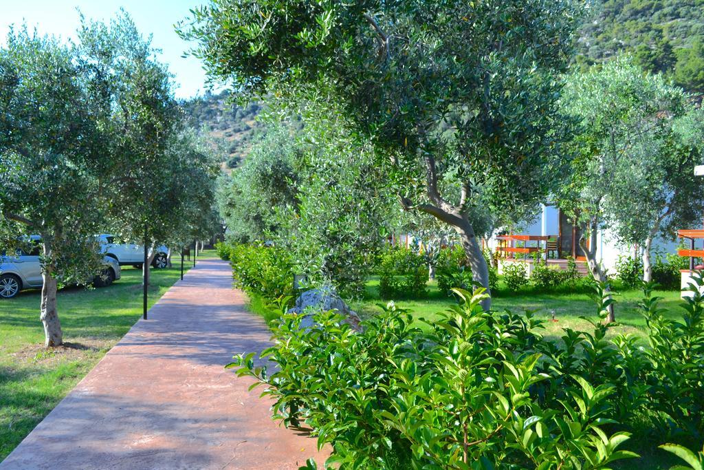 Agriturismo Antichi Ulivi Mattinata Bagian luar foto