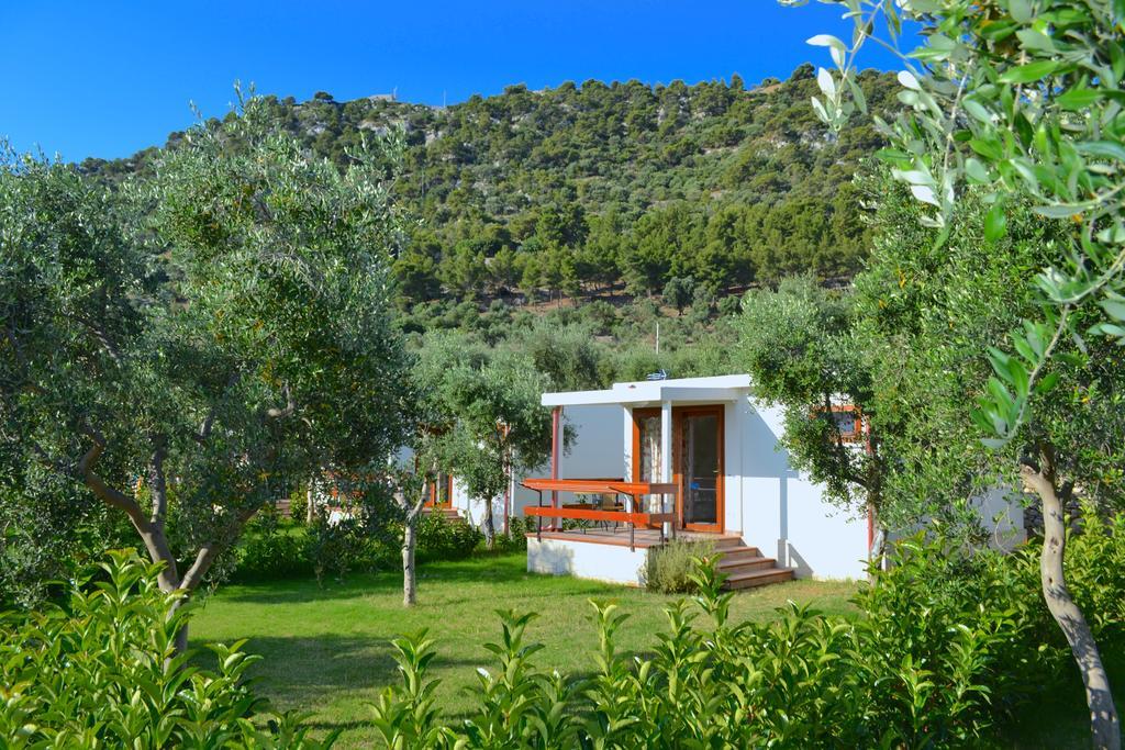Agriturismo Antichi Ulivi Mattinata Bagian luar foto