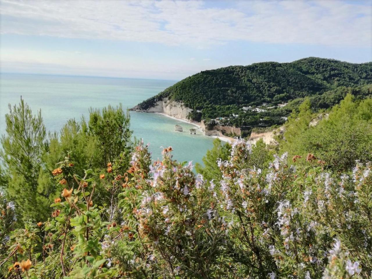 Agriturismo Antichi Ulivi Mattinata Bagian luar foto