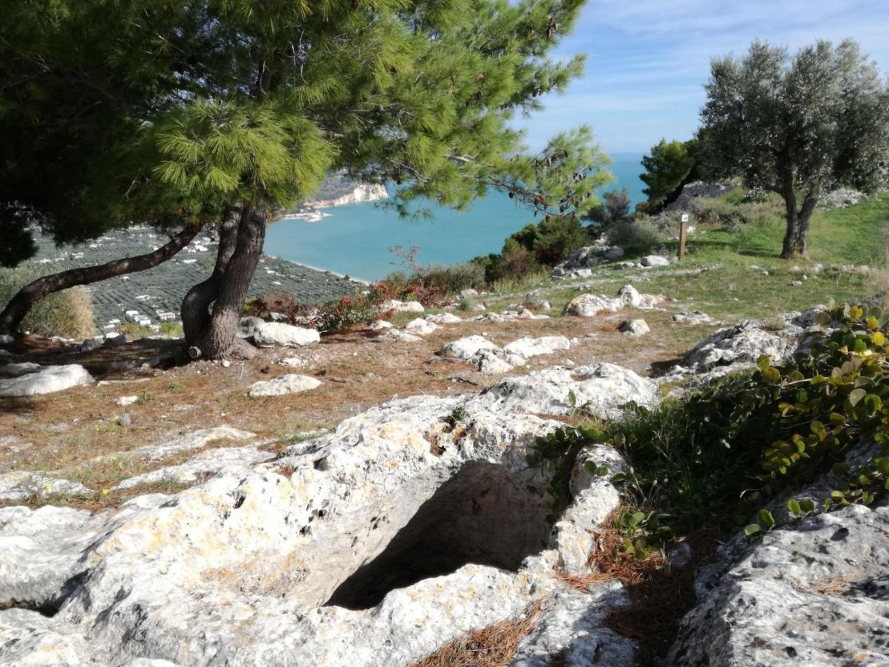 Agriturismo Antichi Ulivi Mattinata Bagian luar foto