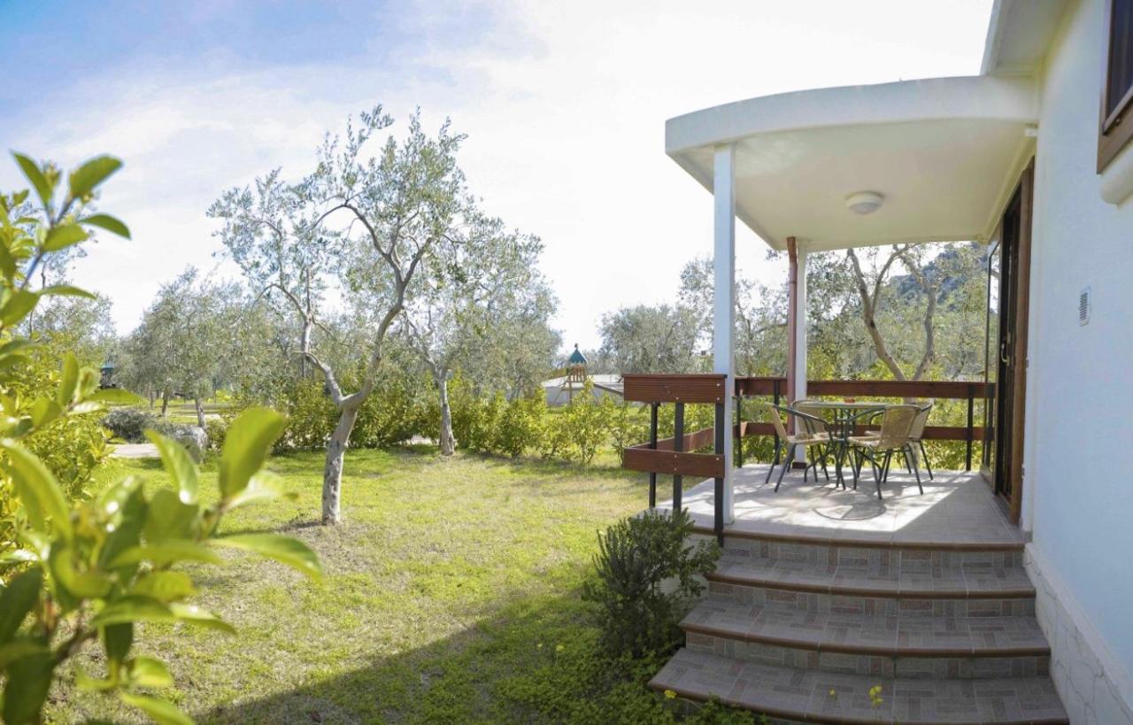 Agriturismo Antichi Ulivi Mattinata Bagian luar foto